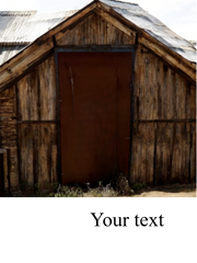 Corten Steel Garden Panels