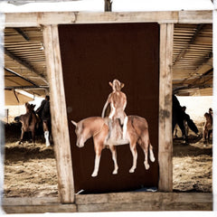 Corten Steel Garden Panels